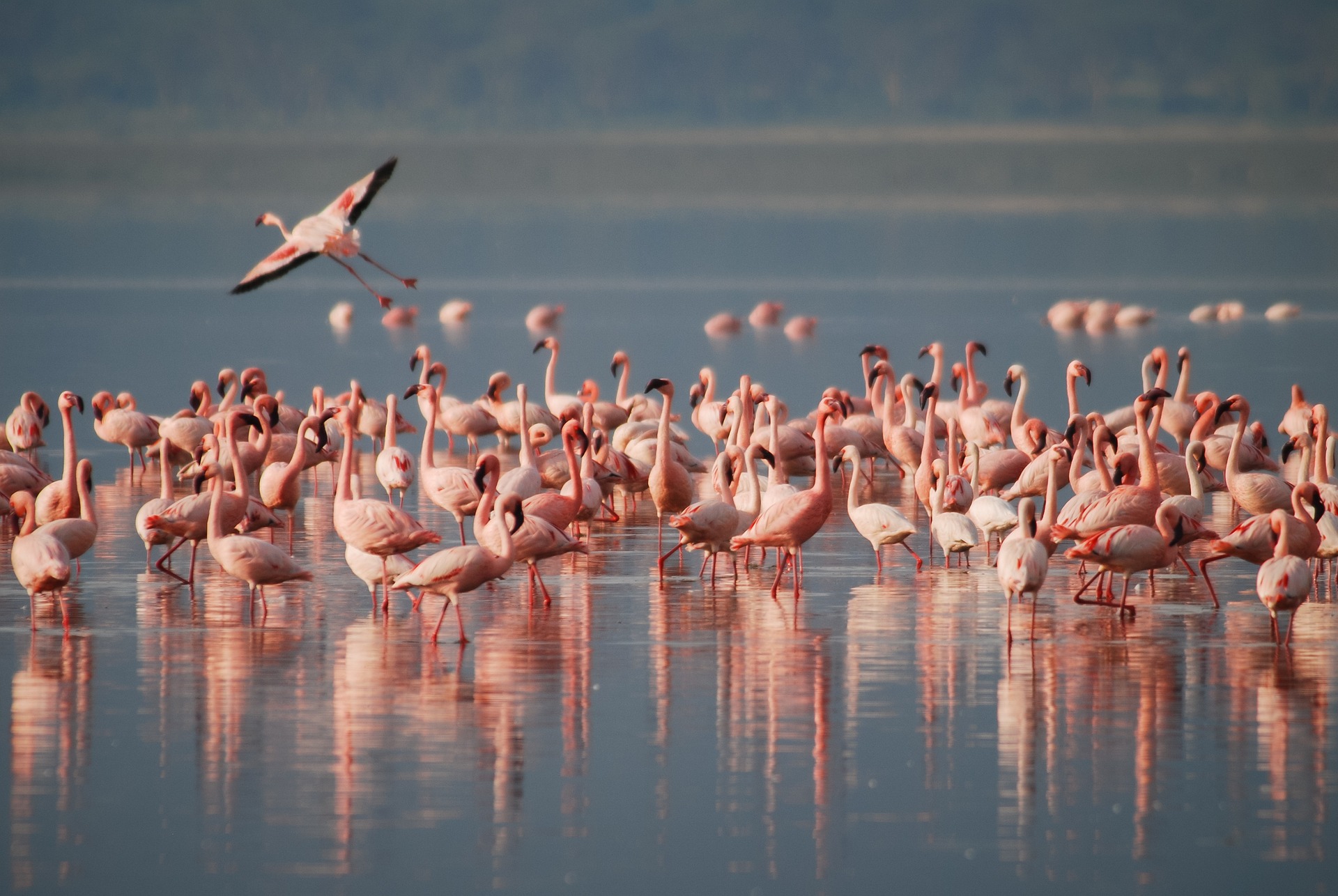 ITINERARI NELLA NATURA